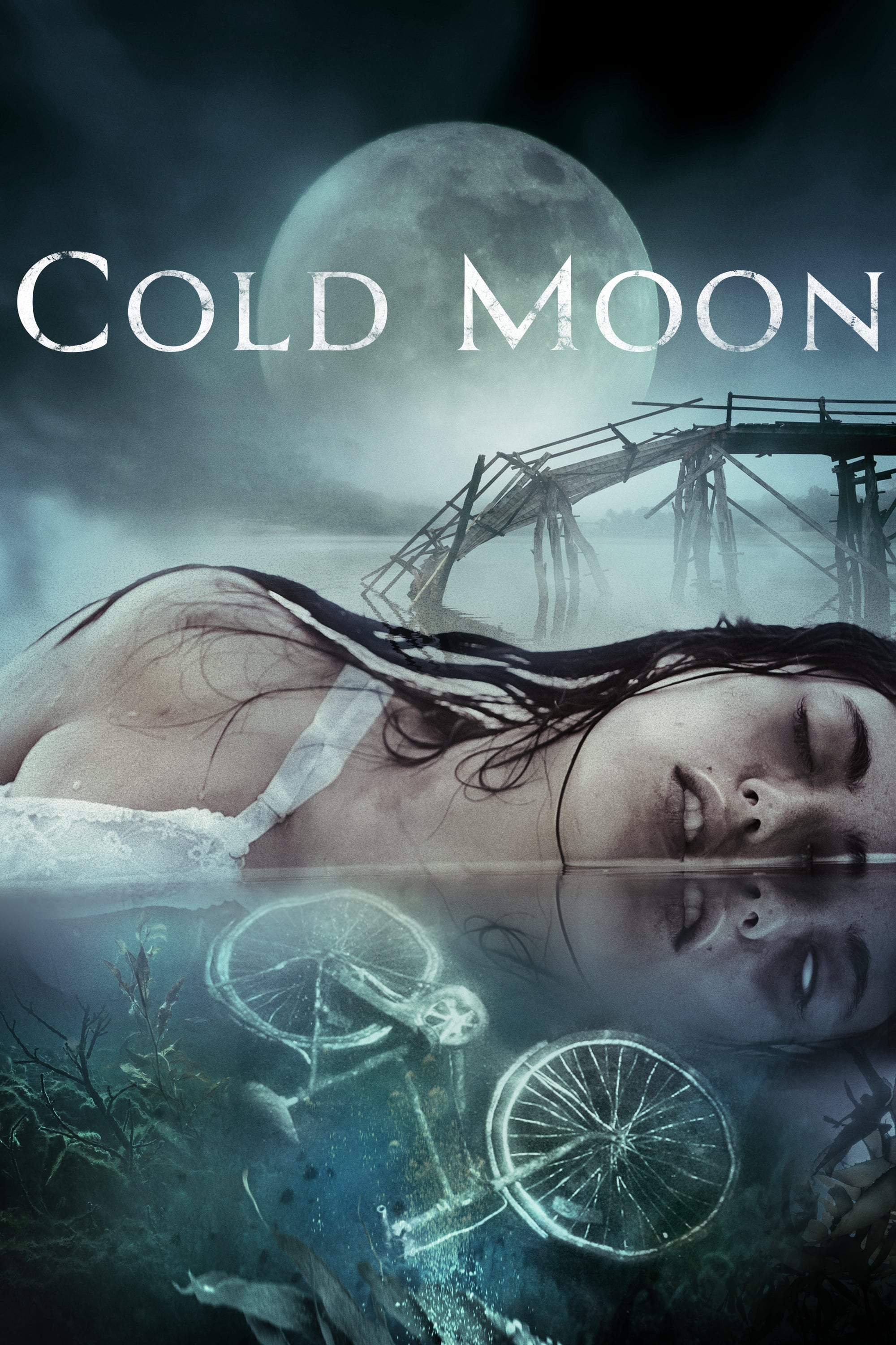Постер Cold Moon